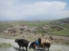 dscn1300